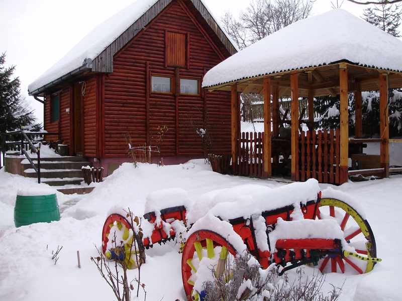 Domaćinstvo Ivanović 6