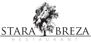 Stara breza 1