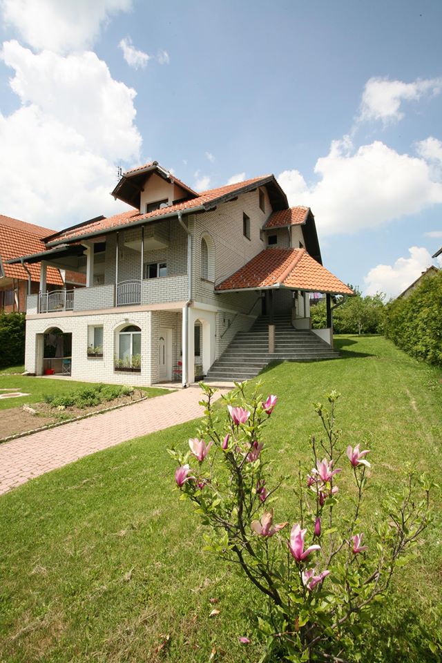 Cvijović 1