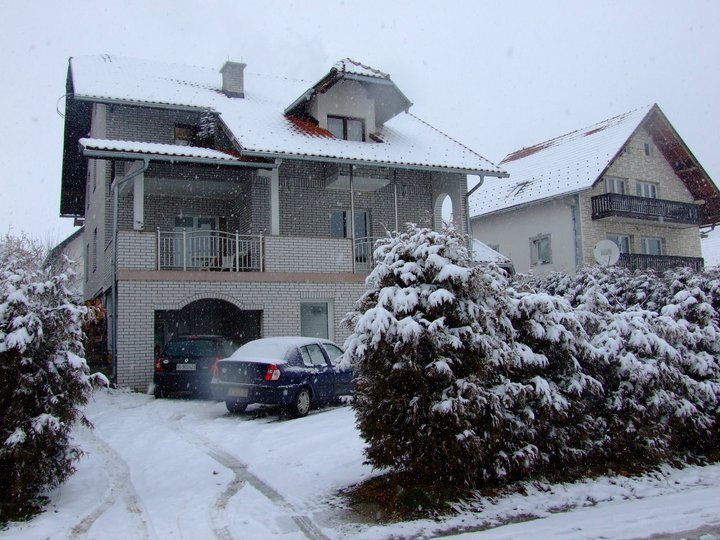 Cvijović 2
