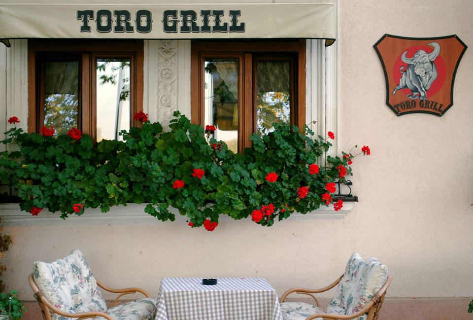 Toro Grill 7
