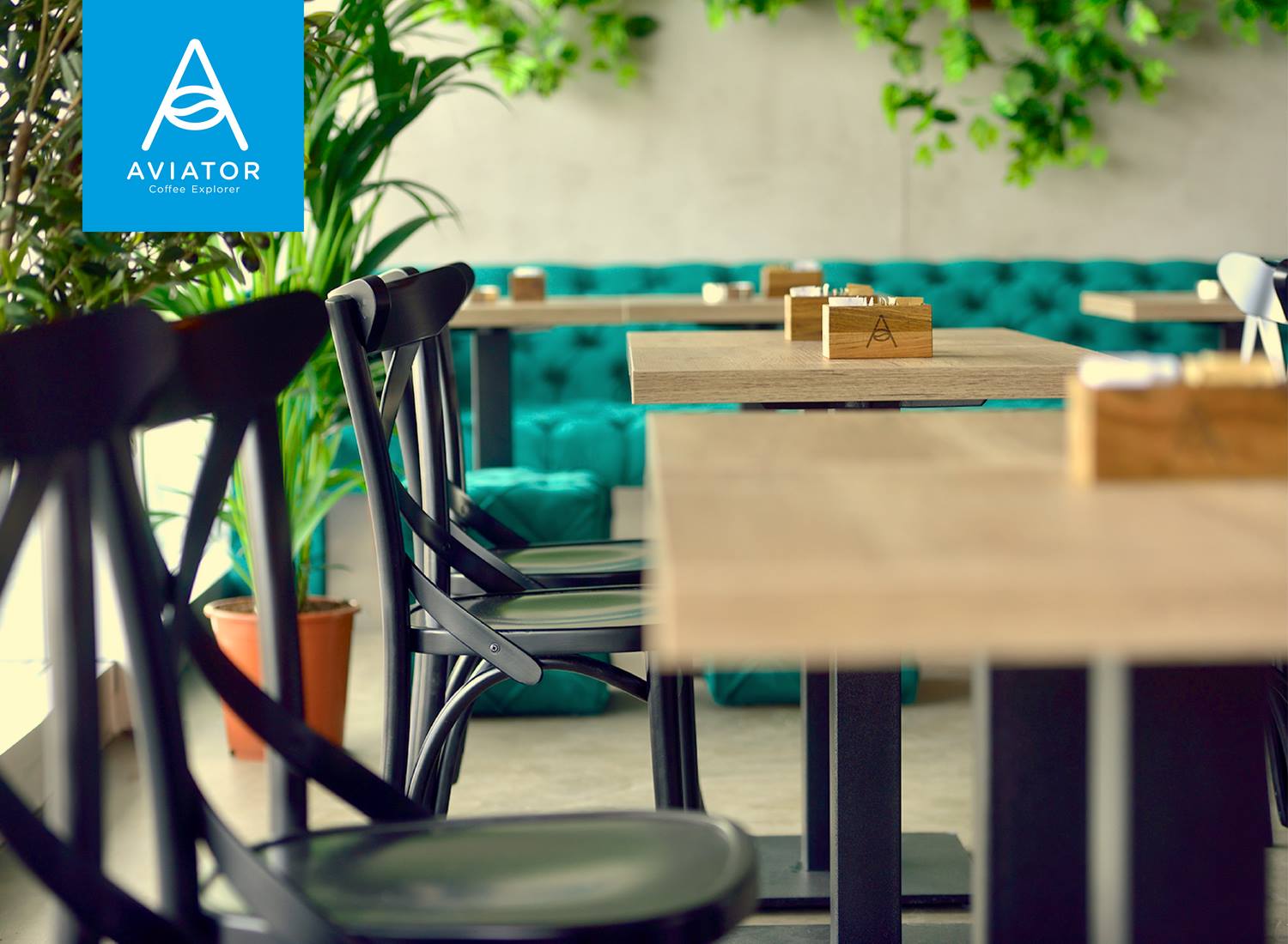 Aviator Coffee Explorer 7