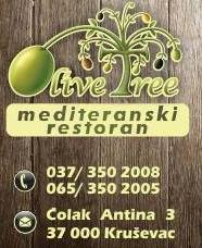 Olive tree 1