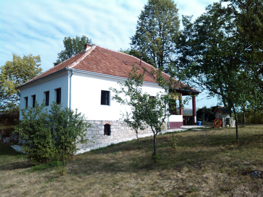 Šaponjić 3