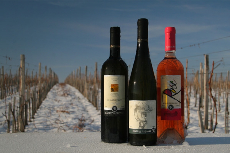 Podrum Radovanović 5