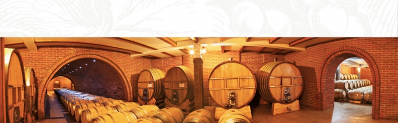 Podrum Radovanović 3