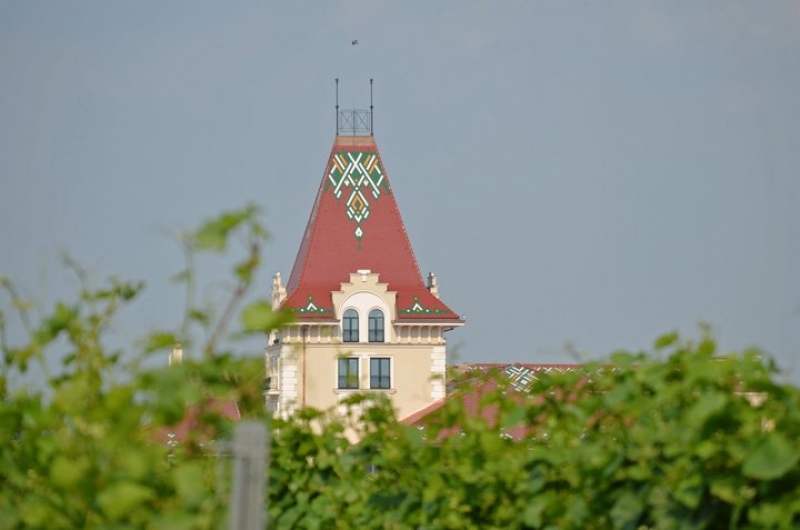 Vinarija Zvonko Bogdan 2