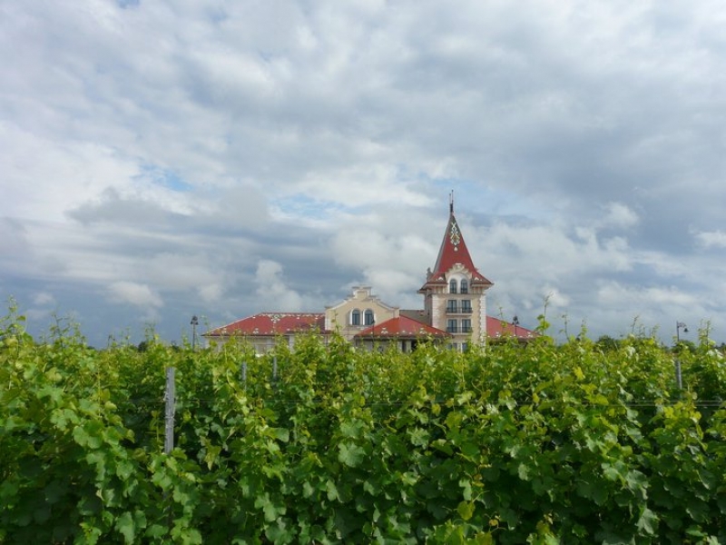 Vinarija Zvonko Bogdan 1