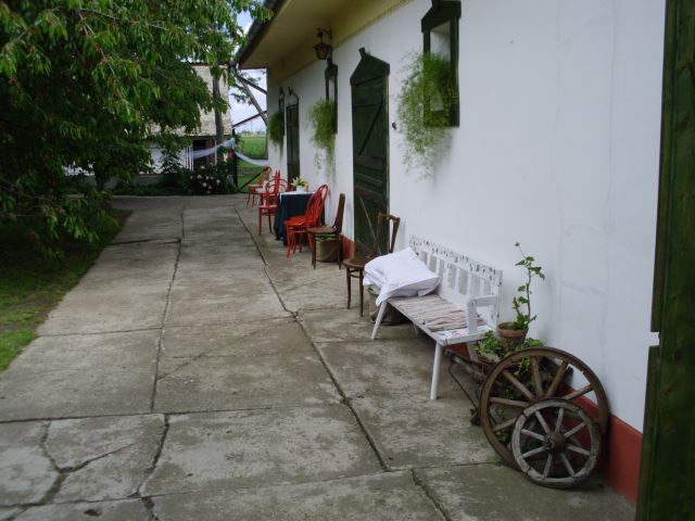 Dida Hornjakov Salaš 7