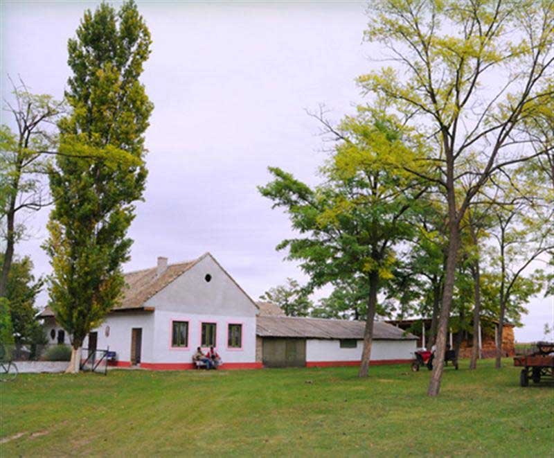 Dida Hornjakov Salaš 5