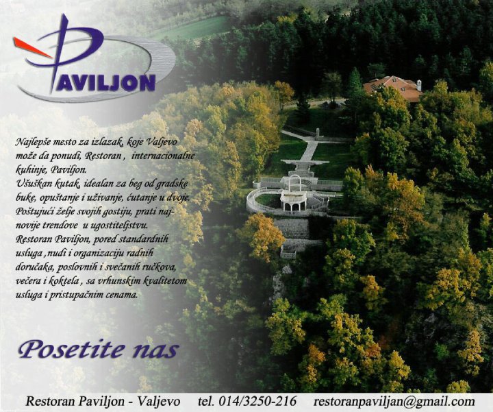 Paviljon 9