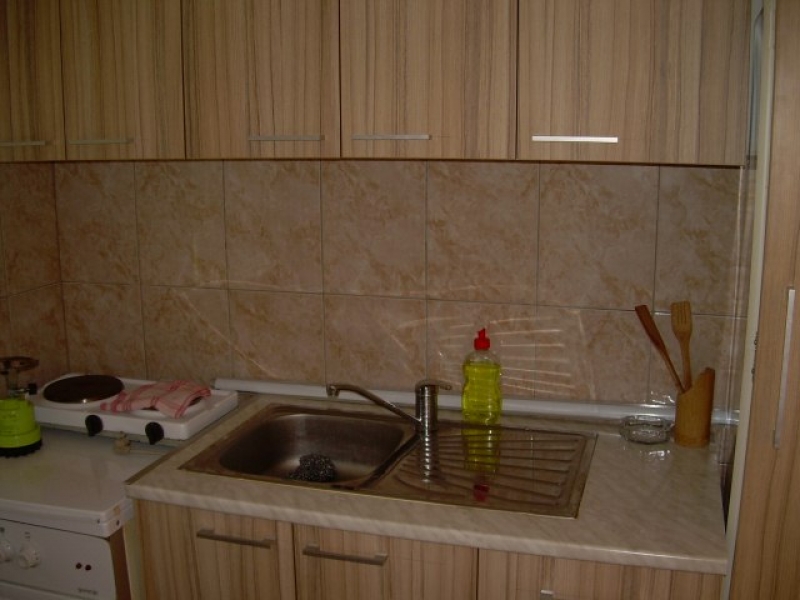 Domaćinstvo Ilić Milana 4