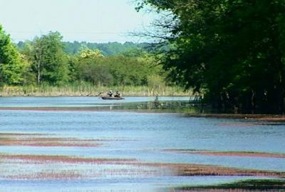 Vojna ustanova Morović 6