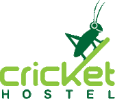 Cricket 1