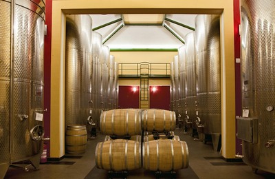 Podrum Radovanović 2