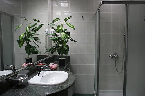 Park i Jezero Elitte Palić 15