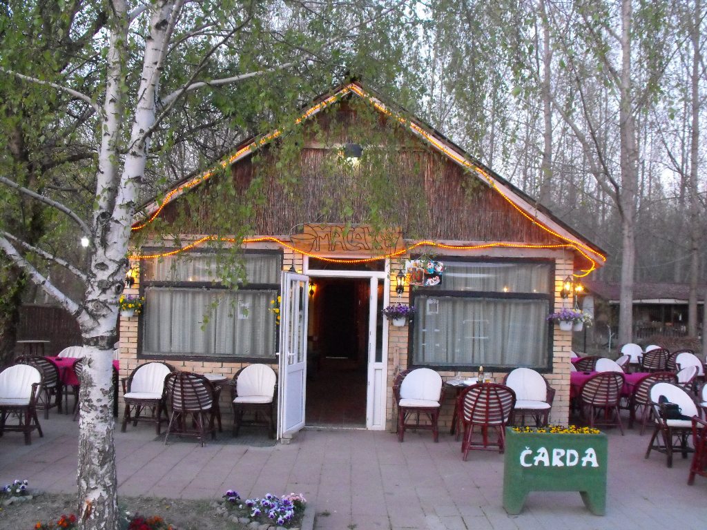 Čarda Mačak 3