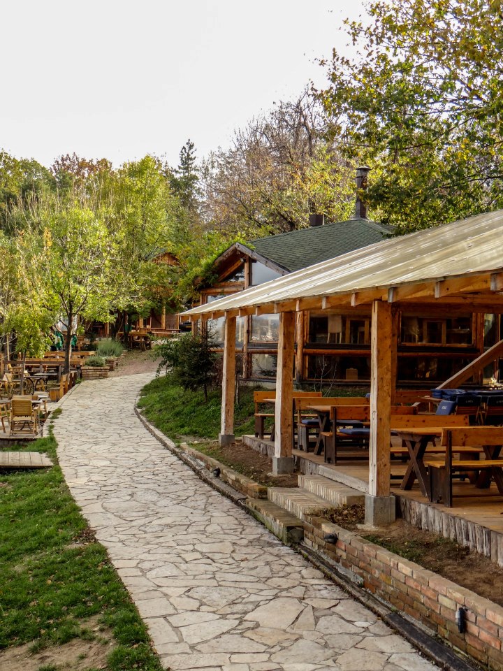 Aleksandar Ski staza 11