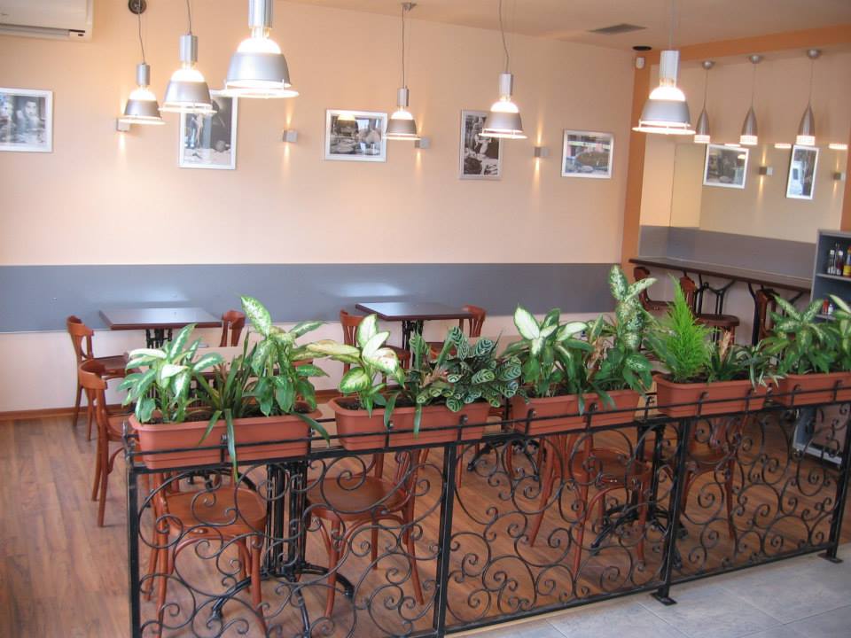 Domaća kuhinja Petrović 8