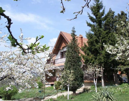 Domaćinstvo Gulić Jelice i Valdimira 2