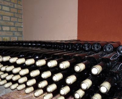 Vinarija Borojević 4