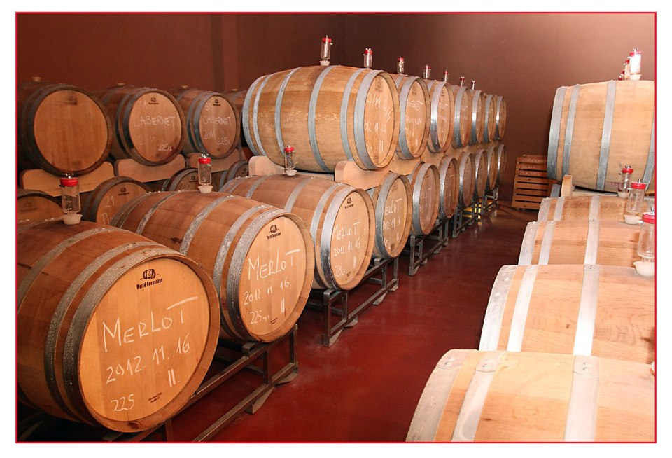 Vinarija Brindza 6