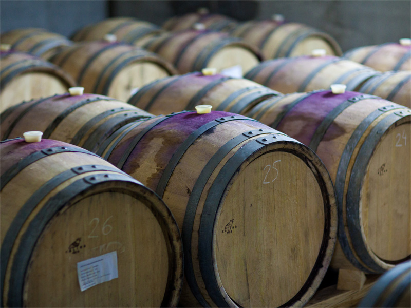 Vinarija Tonković 3