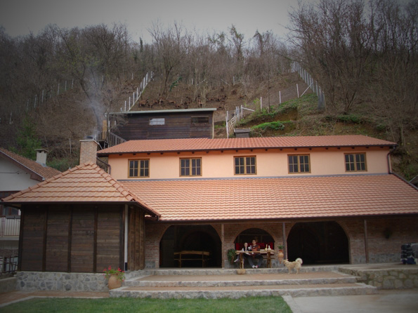 Podrum Miljević 2
