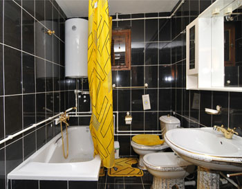 Domaćinstvo Radmila Radivojević 7