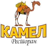 Kamel 10