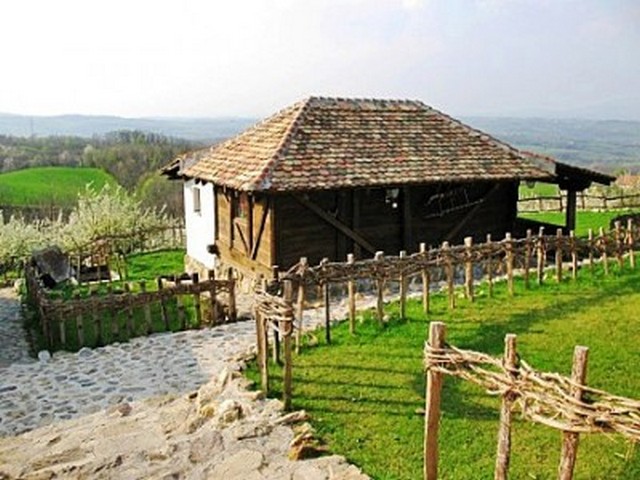 Karađorđev vajat 7