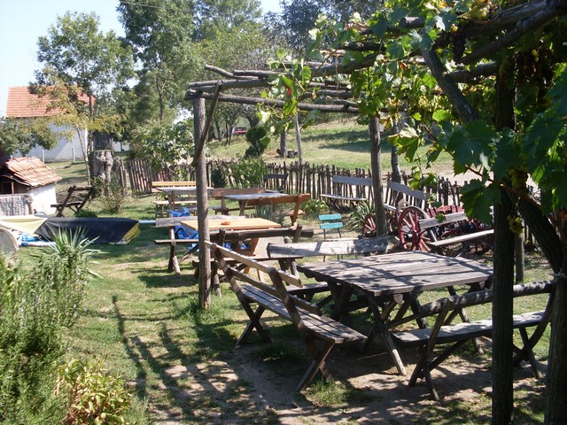 Karađorđev vajat 8