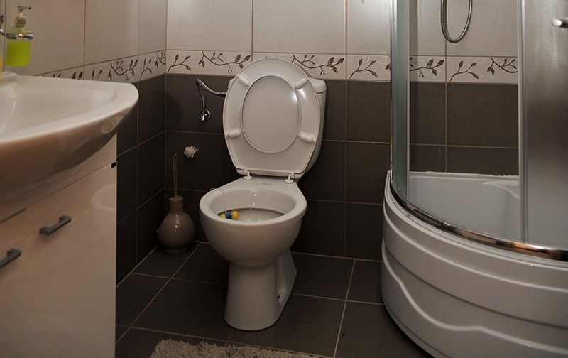 Vajati Bačevci na Drini 10