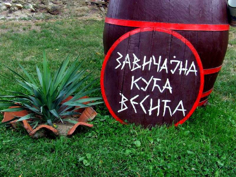 Zavičajna kuća Vesića 2