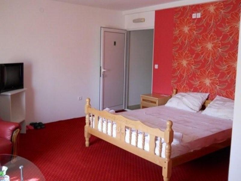 Stojanović Hajat S 7