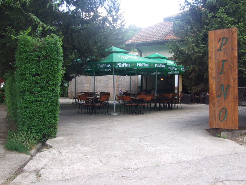 Pino Piano 1