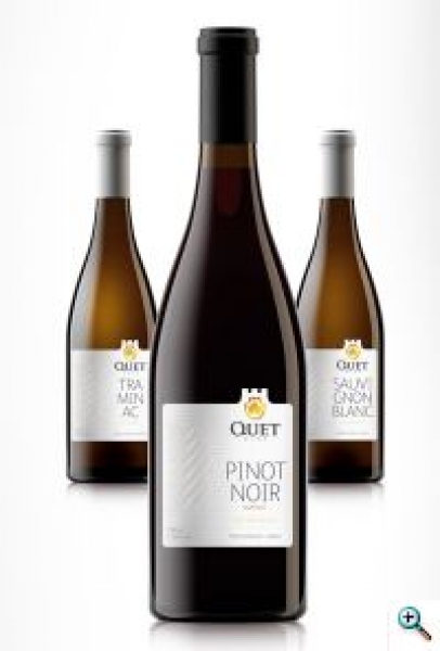 Fruškogorski vinogradi 3