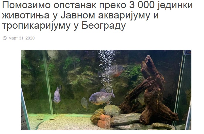 Pomozimo opstanak više od 3.000 životinja u akvarijumu i tropikarijumu u Beogradu